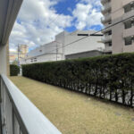 陽当たり◎ 陽当たり◎